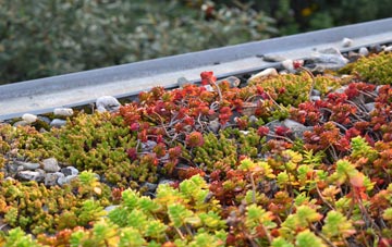 the cost of Hinwick green roof installation