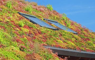 Hinwick living roof systems
